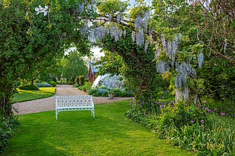THE_MANOR_HOUSE_STEVINGTON_BEDFORDSHIRE_MAY_SPRING_WHITE_BENCH_SEAT_WISTERIA_ARCHWAY_TUNNEL_AVENUE_B
