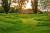 THE MANOR HOUSE, STEVINGTON, BEDFORDSHIRE: MEADOW WITH BUTTERCUPS AND PATHS CUT THROUGH GRASS, SUNSET, MAY, SPRING, ENGLISH, COUNTRY, GARDEN