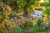 THE MANOR HOUSE, STEVINGTON, BEDFORDSHIRE: SPRING, MAY, EARLY MORNING, SUNRISE, WHITE METAL BENCH, SEATS, LABURNUM ARCH, ARCHWAY, ALLIUM PURPLE SENSATION, POPPIES