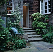 TINY FOUNTAIN AND POOL TUCKED BESIDE SHALLOW STEPS LEADING TO BACK DOOR. DESIGNER: JILL BILLINGTON.