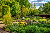 THE PICTON GARDEN AND OLD COURT NURSERIES, WORCESTERSHIRE: BORDER, MAY, SPRING, IRIS GOLDEN IMMORTAL, ALLIUM UNIVERSE, BULBS, YELLOW, PURPLE, FLOWERS, BLOOMING, BLOOMS
