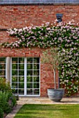 MORTON HALL GARDENS, WORCESTERSHIRE: SOUTH GARDEN, PINK FLOWERS OF CLIMBING ROSE - ROSA CECILE BRUNNER, ROSES, CLIMBERS, WALLS, MAY