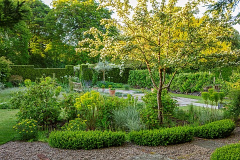 COTTAGE_ROW_DORSET_COUNTRY_GARDEN_SPRING_BLOSSOM_BOX_HEDGES_HEDGING_EUPHORBIA_WOODEN_BENCH_SEAT