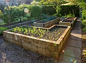 COTTAGE ROW, DORSET: COUNTRY, GARDEN, RAISED BED, WOODEN SLEEPERS, VEGETABLE, POTAGER