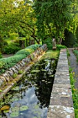YORK GATE, YORKSHIRE: THE CANAL GARDEN, RILL, WATER, CANAL, FERNS, CLIPPED, TOPIARY, YEW, TAXUS, SUMMER, JUNE, ESPALIERED CEDAR