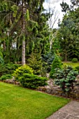YORK GATE, YORKSHIRE: THE PINETUM, JUNE, SUMMER, FOLIAGE, PINES, TREES, SHRUBS, LAWN, GREEN, COBBLES