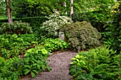 YORK GATE, YORKSHIRE: DELL GARDEN, JUNE, SUMMER, PATH, MAPLES, GREEN, FOLIAGE, LEAVES