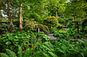 YORK GATE, YORKSHIRE: DELL GARDEN, JUNE, SUMMER, PATH, MAPLES, GREEN, FOLIAGE, LEAVES