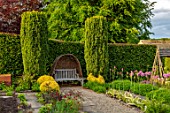 YORK GATE, YORKSHIRE: HERB GARDEN, JUNE, SUMMER, CLIPPED TOPIARY HEDGES, COLUMNS, WOODEN BENCH, SEAT, WOVEN WILLOW HOOD
