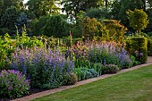 THENFORD, NORTHAMPTONSHIRE: LONG HERBACEOUS BORDER, SUMMER, BORDERS, LAWN, GRASS