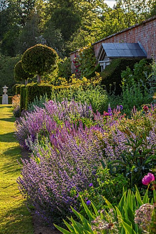 THENFORD_NORTHAMPTONSHIRE_LONG_HERBACEOUS_BORDER_SUMMER_BORDERS_LAWN_GRASS_CLIPPED_TOPIARY_YEW_HEDGE
