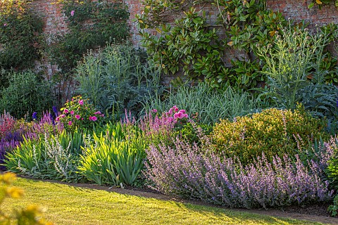 THENFORD_NORTHAMPTONSHIRE_LONG_HERBACEOUS_BORDER_SUMMER_BORDERS_LAWN_GRASS_WALLS_STACHYS_CARDOONS_RO