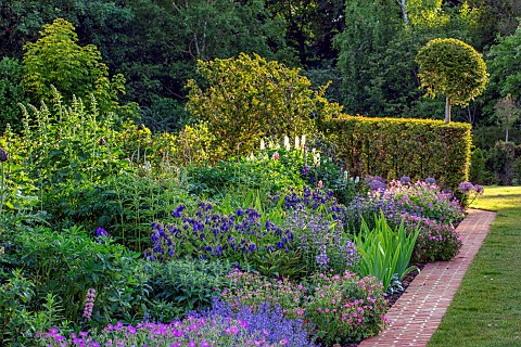 THENFORD_NORTHAMPTONSHIRE_LONG_HERBACEOUS_BORDER_SUMMER_BORDERS_LAWN_GRASS_CLIPPED_TOPIARY_YEW_HEDGE