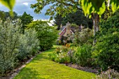FULLERS MILL GARDEN, SUFFOLK: PERENNIAL, FULLERS MILL COTTAGE, LAWN, GRASS PATH, COPPICED POPULUS ALBA, KNIPHOFIA, SUMMER, JUNE