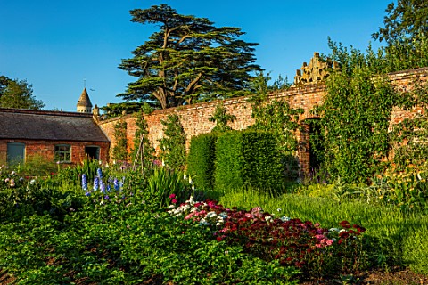 NEVILL_HOLT_LEICESTERSHIRE_THE_WALLED_VEGETABLE_GARDEN_POTAGER_PATH_LAVENDER_VERA_SWEET_WILLIAMS_CRO