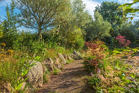 LARCH_COTTAGE_NURSERIES_CUMBRIA_STORMY_WEATHER_EVENING_LIGHT_PATH_BOULDERS_WILLOWS_SUMMER_JULY