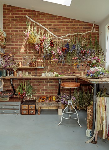 BEX_PARTRIDGE_BOTANICAL_TALES_BEX_PARTRIDGES_STUDIO_WITH_BRANCH_OF_SUSPENDED_FLOWER_BUNCHES_AIR_DRYI