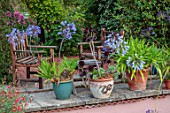 THE MANOR HOUSE, STEVINGTON, BEDFORDSHIRE. DESIGNER: KATHY BROWN - PINK WALL, CONTAINERS, AGAPANTHUS, AEONIUM ATROPURPUREUM, POTS, SUMMER, AUGUST, WOODEN, CHAIRS