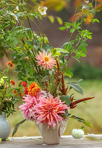 THE_FLOWER_GARDEN_AT_STOKESAY_COURT__TABLE_WITH_CONTAINER_OF_DAHLIAS_PENHILL_WATERMELON_PREFERENCE_A