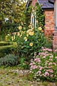 JUST DAHLIAS, CHESHIRE: COURTYARD, PATIO, TERRACE, DAHLIA APRIL HEATHER AND PHLOX DRUMONDII, SEPTEMBER, AUTUMN, FALL, FLOWERING, BLOOMING, BLOOMS, FLOWERS