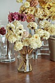 JUST DAHLIAS, CHESHIRE: DRIED DAHLIAS IN CONTAINERS, JARS, VASES ON WOODEN TABLE, DRYING, CUT FLOWERS, CUTTING