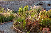 WILDEGOOSE NURSERY, SHROPSHIRE: PATHS, WALLED, GARDENS, COUNTRY, BORDERS, ACTAEA SIMPLEX CHOCOHOLIC, BANEBERRY, PERENNIALS, DECIDUOUS, SHED, OFFICE