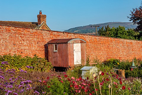 WILDEGOOSE_NURSERY_SHROPSHIRE_VIEW_TO_SHROPSHIRE_HILL_BEYOND_THE_WALLED_GARDEN_SHED_COUNTRY_GARDENS_