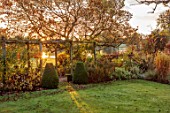 THE DOWER HOUSE, DERBYSHIRE: PERGOLA, CLIPPED TOPIARY BOX, BUXUS, WOODEN, AUTUMN, FOLIAGE, FALL, SUNRISE, LAWN