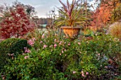 THE DOWER HOUSE, DERBYSHIRE: AUTUMN, OCTOBER, URN BED, BORDERS, CORDYLINE, ROSES, ROSA THE FAIRY, MISCANTHUS SINENSIS ZEBRINUS
