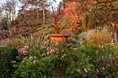 THE DOWER HOUSE, DERBYSHIRE: AUTUMN, OCTOBER, URN BED, BORDERS, CORDYLINE, ROSES, ROSA THE FAIRY, MISCANTHUS SINENSIS ZEBRINUS