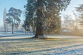 MORTON HALL, WORCESTERSHIRE: THE MAIN DRIVE, PARKLAND, DECEMBER, JANUARY, SNOW, FROST, WINTER, MEADOW, TREES, WOODEN BENCHES, SEATS, SEQUOIADENDRON GIGANTEA