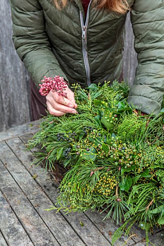 BABYLON_FLOWERS_OXFORDSHIRE__PUSHING__A_STEM_OF_PEPPER_BERRIES_THROUGH_FOLIAGE_OF_MOSS_BASE