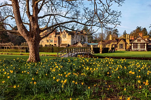 HEVER_CASTLE__GARDENS_KENT_DAFFODILS_NARCISSUS_BESIDE_LAKE_POND_REFLECTIONS_MARCH_REFLECTED_TREES_BU