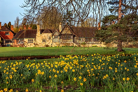 HEVER_CASTLE__GARDENS_KENT_DAFFODILS_NARCISSUS_BESIDE_LAKE_POND_MARCH_TREES_BUILDINGS_SPRING_BULBS