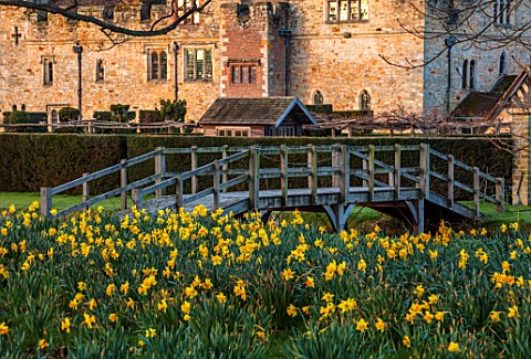 HEVER_CASTLE__GARDENS_KENT_DAFFODILS_NARCISSUS_BESIDE_LAKE_POND_REFLECTIONS_MARCH_REFLECTED_TREES_BU