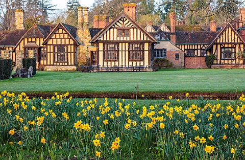HEVER_CASTLE__GARDENS_KENT_DAFFODILS_NARCISSUS_BESIDE_LAKE_MARCH_BUILDINGS_SPRING_BULBS