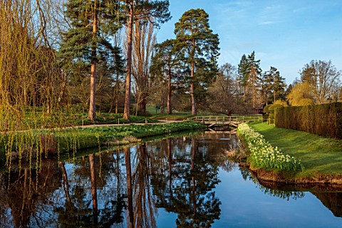 HEVER_CASTLE__GARDENS_KENT_LAKE_POND_BRIDGE_TREES_DAFFODILS_NARCISSUS_SPRING_MARCH_WATER