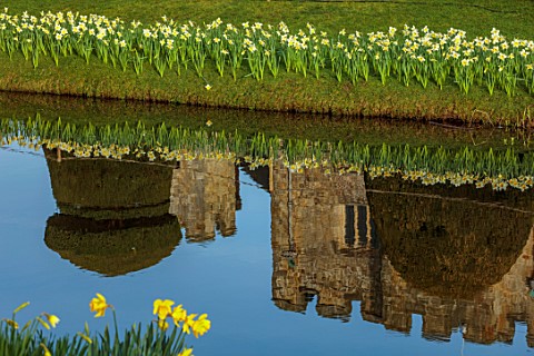 HEVER_CASTLE__GARDENS_KENT_LAKE_POND_DAFFODILS_NARCISSUS_SPRING_MARCH_WATER_REFLECTIONS_REFLECTED__C