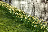 HEVER CASTLE & GARDENS, KENT: LAKE, POND, DAFFODILS, NARCISSUS, SPRING, MARCH, WATER, REFLECTIONS, REFLECTED, ICE FOLLIES
