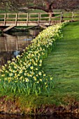 HEVER CASTLE & GARDENS, KENT: LAKE, POND, DAFFODILS, NARCISSUS, SPRING, MARCH, WATER, REFLECTIONS, REFLECTED, WOODEN, BRIDGE, ICE FOLLIES