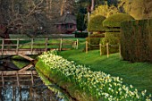 HEVER CASTLE & GARDENS, KENT: LAKE, POND, DAFFODILS, NARCISSUS, SPRING, MARCH, WATER, REFLECTIONS, REFLECTED, WOODEN , BRIDGE, ICE FOLLIES, TOPIARY, YEW