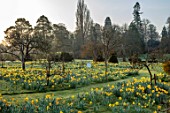 HEVER CASTLE, KENT: MORNING LIGHT ON LAWN, PATH, TOPIARY YEW, BEE HIVE, MEADOW, NATURALISED DAFFODILS, CASTLE, NARCISSUS, MARCH, SPRING, MEADOWS