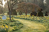 HEVER CASTLE, KENT: MORNING LIGHT ON LAWN, PATH, TOPIARY YEW, BEE HIVE, MEADOW, NATURALISED DAFFODILS, CASTLE, NARCISSUS, MARCH, SPRING, MEADOWS