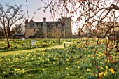HEVER CASTLE, KENT: MORNING LIGHT ON LAWN, PATH, BEE HIVE, MEADOW, NATURALISED DAFFODILS, CASTLE, NARCISSUS, MARCH, SPRING, MEADOWS