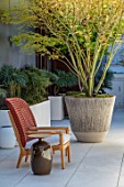 MAYFAIR PENTHOUSE GARDEN, LONDON, PLANTING DESIGN BY ALASDAIR CAMERON: ROOF TERRACE, BALCONY, CONTAINER, MAPLES, ACER PALMATUM, CHAIR, RAISED BEDS, MAHONIA SOFT CARESS