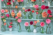 GREEN AND GORGEOUS FLOWERS, OXFORDSHIRE: ARRANGEMENT OF RANUNCULUS, NARCISSUS AND TULIPS IN GLASS JARS ON BLUE DRESSER BY RACHEL SIEGFRIED