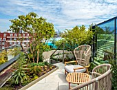 MAYFAIR PENTHOUSE GARDEN, LONDON, PLANTING ALASDAIR CAMERON: TERRACE, ROOF, HEPTACODIUM MICONIOIDES, RAISED BEDS, TABLE, CHAIRS, ECHIUMS