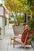 MAYFAIR PENTHOUSE GARDEN, LONDON, PLANTING DESIGN BY ALASDAIR CAMERON: ROOF TERRACE, BALCONY, CONTAINERS, MAPLES, ACER PALMATUM, CHAIRS
