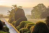 BRODSWORTH HALL, YORKSHIRE: SUMMER, CLIPPED TOPIARY HEDGES, HEDGING, DAWN, SUNRISE, MIST, FOG, BORROWED LANDSCAPE, FIELDS