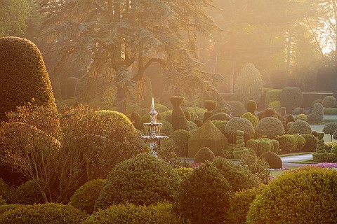 BRODSWORTH_HALL_YORKSHIRE_SUMMER_CLIPPED_TOPIARY_HEDGES_HEDGING_DAWN_SUNRISE_MIST_FOG_FOUNTAIN